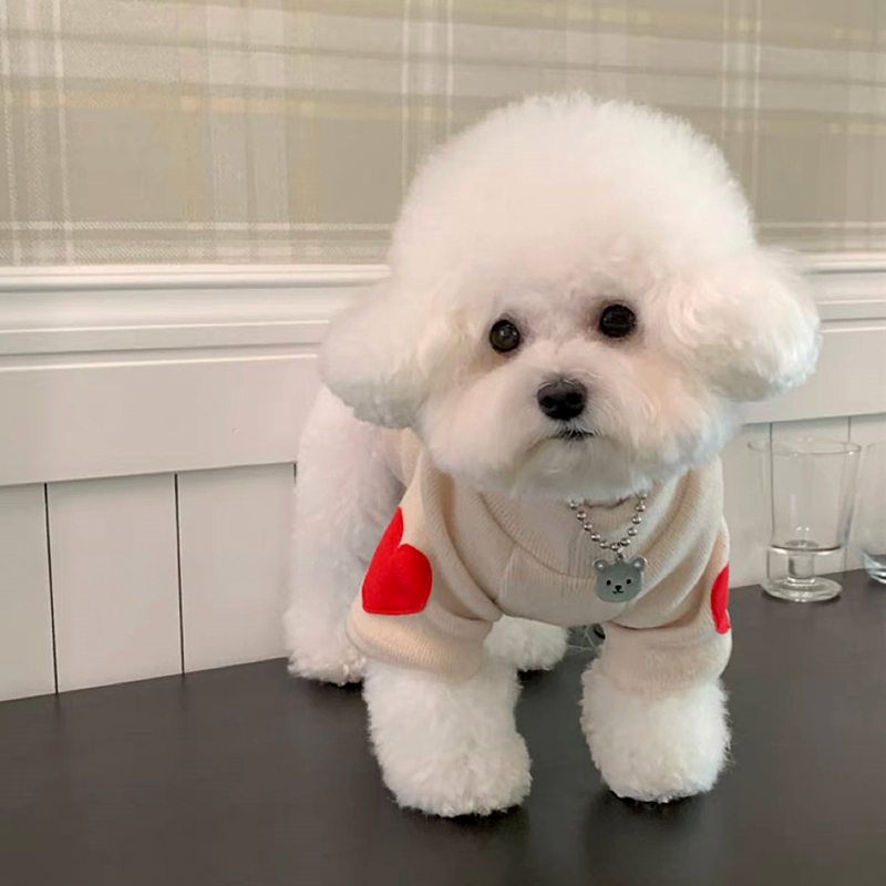 Dog Love Bottom Shirt Warm Pet - Winter Clothing For Dogs recensione e prezzo