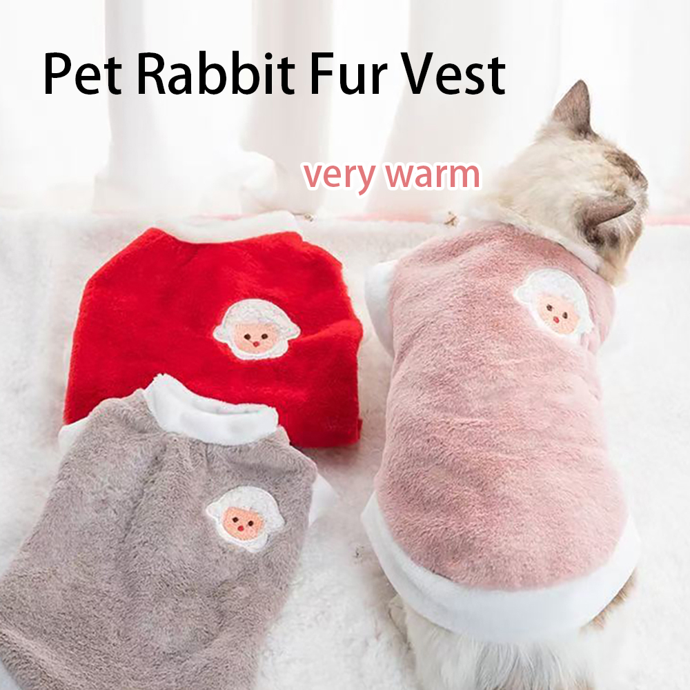Abbigliamento per Animali Dome - Winter Clothing For Dogs recensione e prezzo