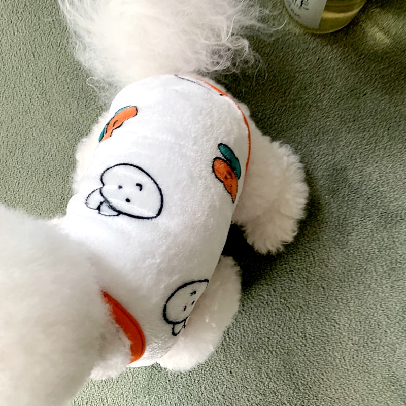 Bellissimo cane modello conigl - Winter Clothing For Dogs recensione e prezzo