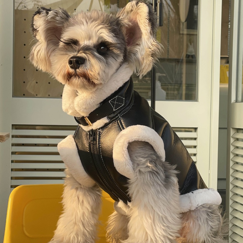 Pet Autunno Inverno Velluto Gi - Winter Clothing For Dogs recensione e prezzo